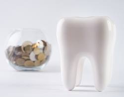Model tooth and jar of coins