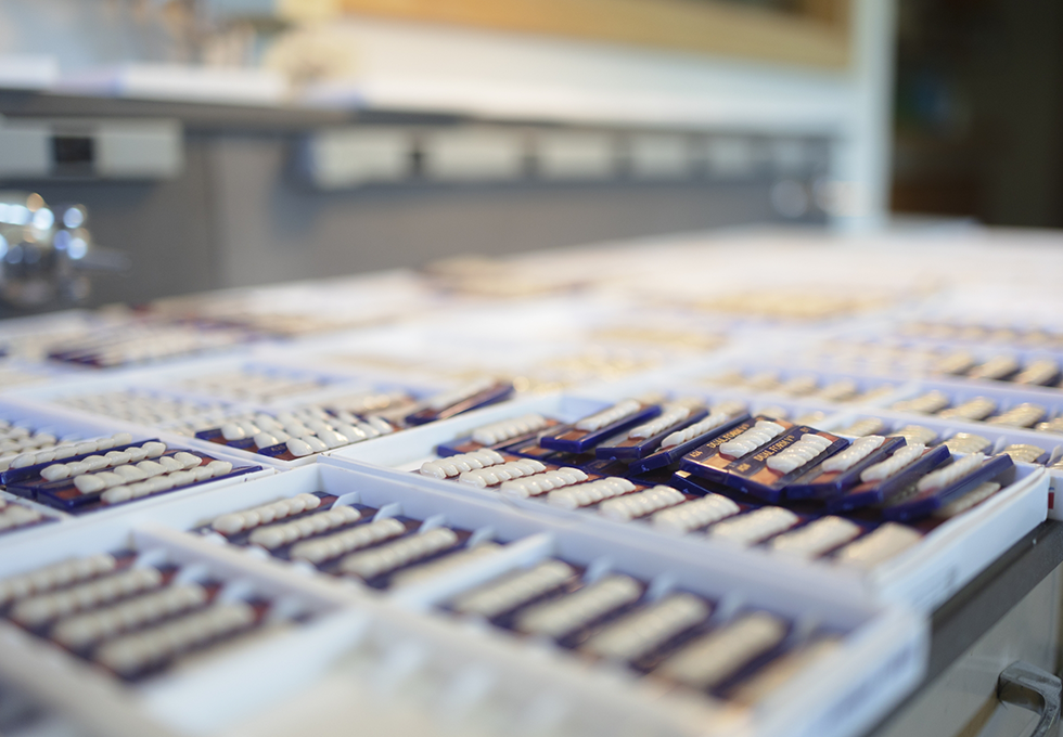 Rows of dental restorations