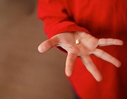 person holding a tooth